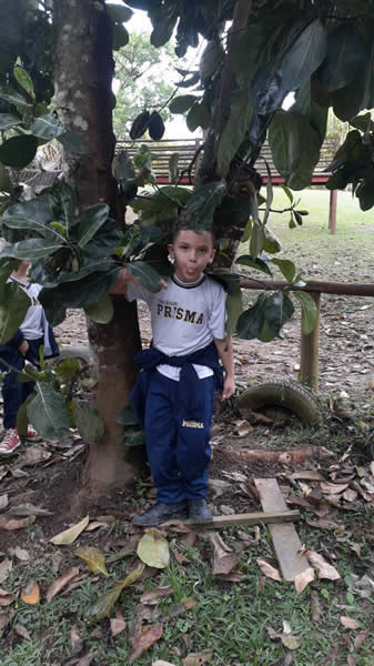 Bicho Mania 2022